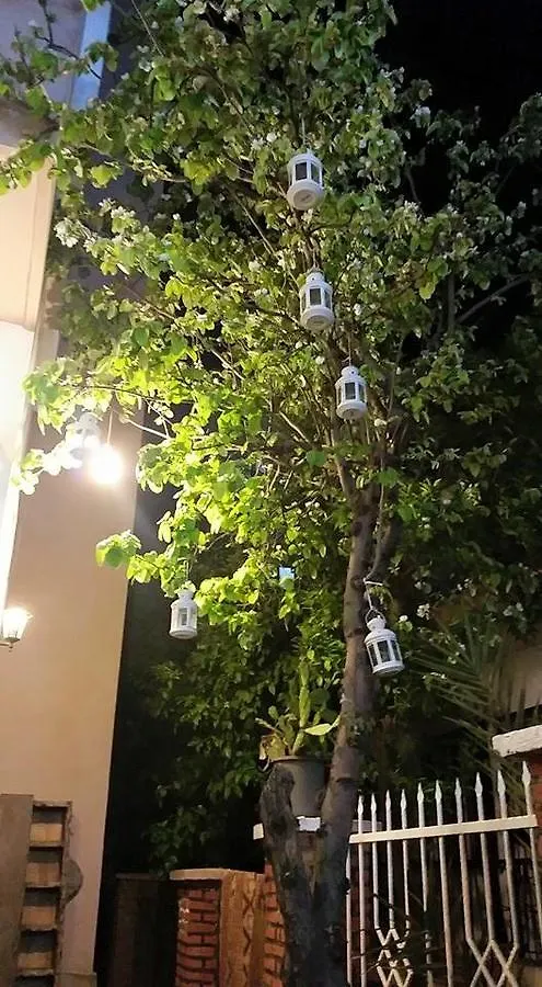 Alis Hotel Kusadasi Turkey